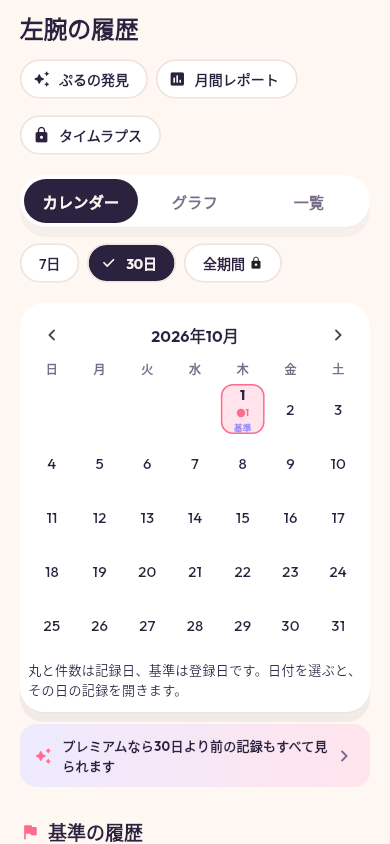 肌の記録を振り返る履歴画面のサンプル